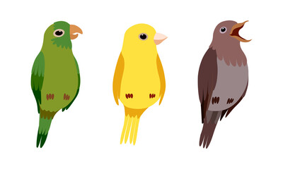 Perching Birds as Winged Feathered Creature with Bright Plumage Vector Set