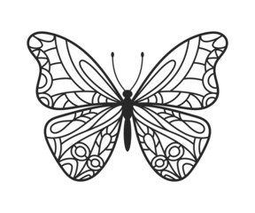 Butterfly hand drawn doodle