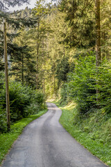 country road bending in forest  near Oppenau, Black Forest, Germany