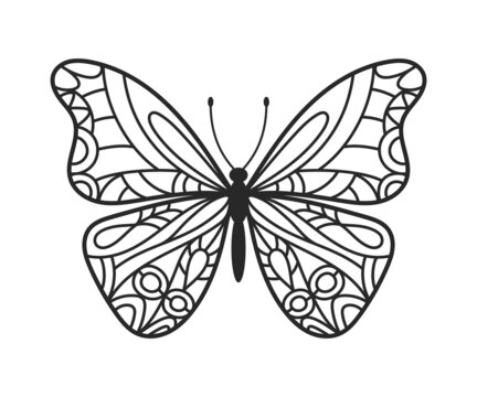 Butterfly hand drawn doodle