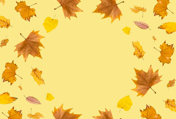 Naklejka na ściany i meble Leaves on a trendy yellow background. Autumn composition with copy space. Minimal creative idea. Top view. Flat lay.