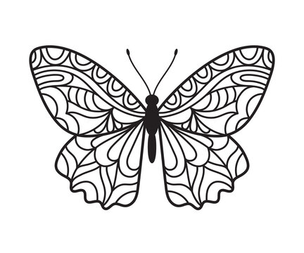 Beautiful Butterfly hand drawn ornamental artistic print