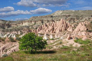Beautiful Turkish landscape. The valleys of Cappadocia with red tuff mountains and fantastic valleys