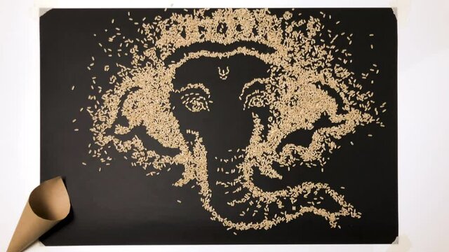 Stop motion on black cardboard and white background, the rice crumbles and forms the image of Ganesha. Abstract animation, illustration of an elephant.