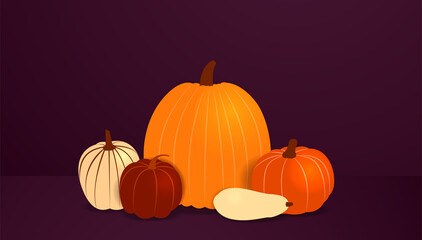 Harvest of pumpkins. Vector illustration in realistic style. Various orange, yellow and red squashes on lilac background