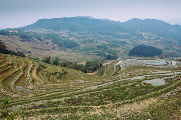 Rice terraces and hills in Sapa, Vietnam. Rural green vietnamese landscape in spring. South East Asia rice paddy