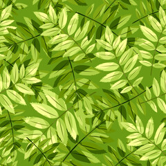 Naklejka na ściany i meble Vector seamless pattern with green rowan leaves.