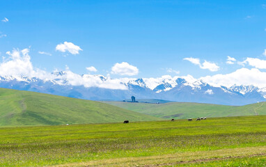 Obraz premium Plateau Assy in Kazakhstan near Almaty city. View of high mountain observatory and grazing animals