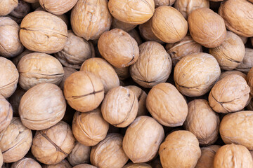 Top view of fresh walnuts in their shells. Harvest of organic walnuts.