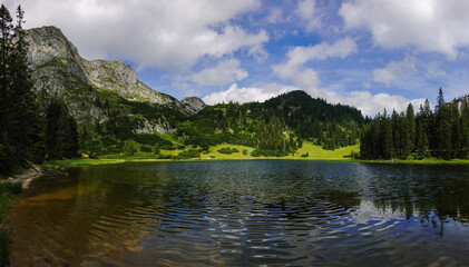 Fototapeta na wymiar wonderful mountain lake with mountain trees and meadow panorama