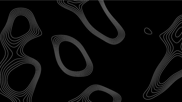 Topographic Line loop Background. Contour line texture.