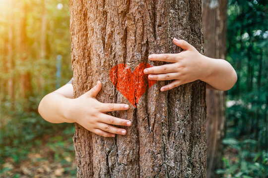 Tree embracing, a young girl hugging a tree with a red heart as a symbol of love for nature. Closeup hands of a woman hugging a tree with heart, copy space.