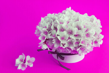 White jasmine flowers in the gift box on the pink background.Copy space.