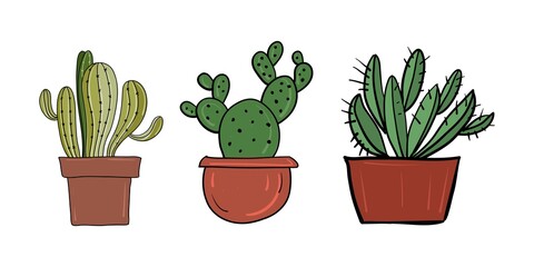 Set of cacti sketch by hand. Vector illustration.