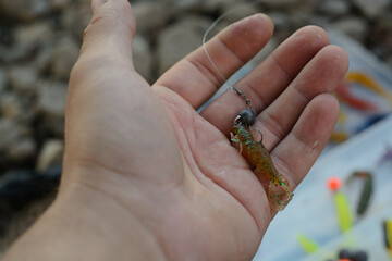Bait for fishing in hand