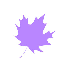 Withered maple leaf. Fallen autumn maple leaf icon