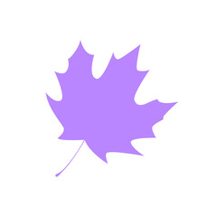 Maple leaf icon silhouette. Filled leaf glyph