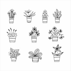 Set of hand drawn indoor plant in a pot, doodle design. Home plants. Illustration for print, web, mobile and infographics.