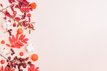 Flat lay frame with colorful autumn leaves and berries on a light background