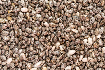 beautiful chia seeds
 in the foreground for healthy cooking