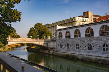 Fototapeta na wymiar Bridge on the river in Ljubljana, Slovenia