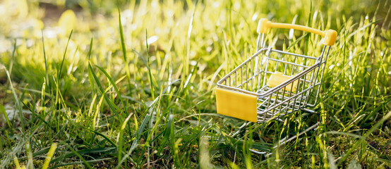 Sustainable consumption. Empty shopping cart on green grass background. Zero waste concept. Copy space. Banner