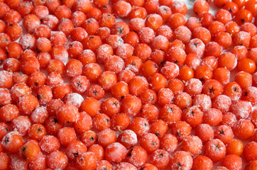 the frozen berry is covered with a layer of frost