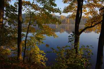 Autumn trees and the background of the lake