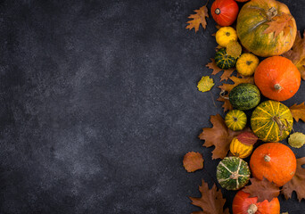 Various decorative pumpkins. Autumn concept