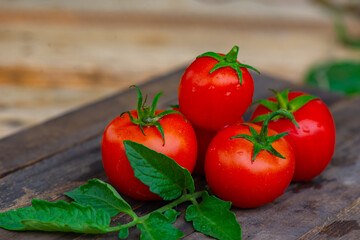 identical red tomatoes on a dark background. High quality photo