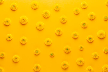 Yellow flower pattern on a yellow background.  Spring greeting card.