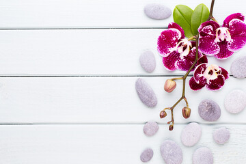 Orchid on a wooden background. Spa and wellnes scene.