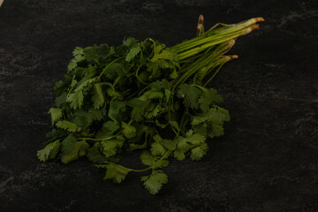 Green coriander or cilanto leaves heap