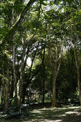 People visit the ecologic park Las Garzas in Cali, Colombia, with wild animals and different trees species