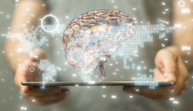 3d rendered medically accurate illustration brain