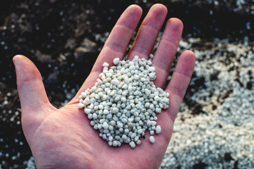 Hand holding agriculture fertilizer granules. Concept of role and importance of fertilisers in...