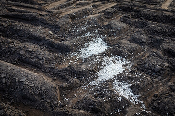 Agriculture fertilizer granules. The concept of the role and importance of fertilizers in agriculture