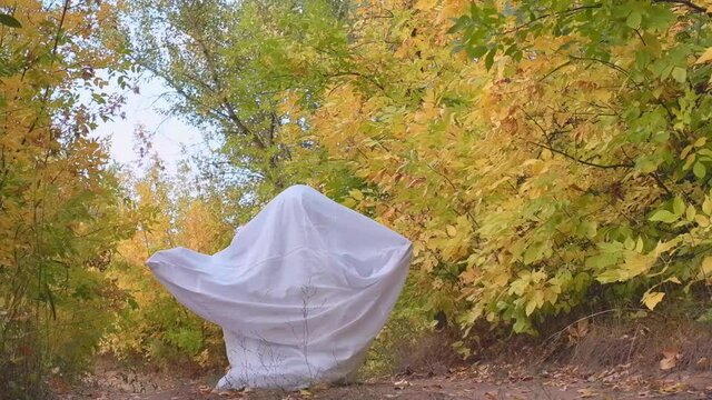 White ghost, a man having fun in a white sheet in a yellow forest. Man in halloween ghost costume