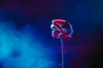 An aerial gymnast shows a performance in the circus arena.