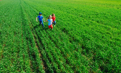 Running kids in green field during summer.