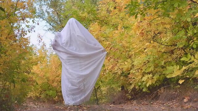 White ghost, a man having fun in a white sheet in a yellow forest. Man in halloween ghost costume