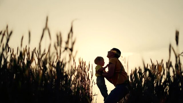 Happy family. Father tosses his son up. Family in wheat field. Father throws his baby son at sunset. Happy family concept. Father holds baby son in his arms and throws him into sky in wheat field.