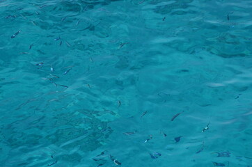 blue water surface