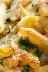Penne pasta with chicken, cream and grated cheese