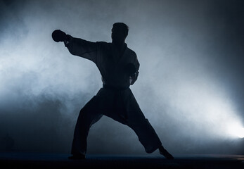 An image of a taekwondo martial arts master