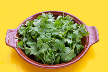 Fresh coriander leaves in bowl on yellow background.