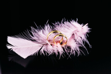 Obraz premium Two gold wedding rings on a black background with pink feathers. Love and wedding concept.