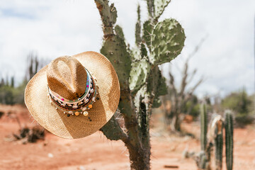 cowboy hat on a cactus © Eldar_V