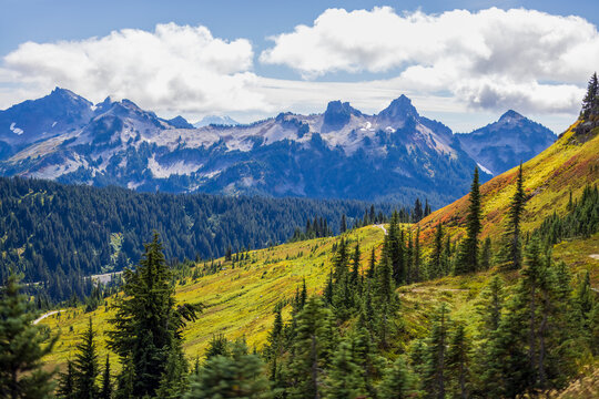 Trees and mountainview