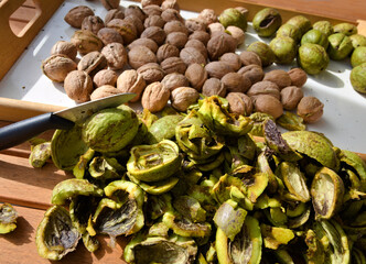 pealing walnuts - II -